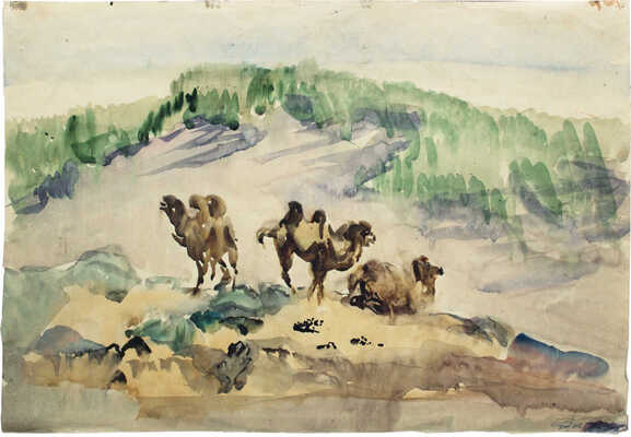 Курдов Валентин Иванович. Верблюд в горах. Монголия